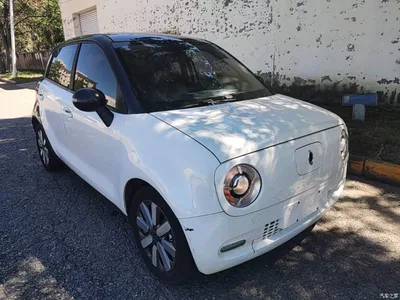 2021 Ora Black Cat 351km Standard Model, фото 4, лот 10447798