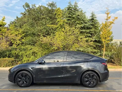 2024 Tesla Model Y Rear-Wheel Drive Version, фото 4, лот 10404615