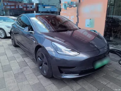 2019 Tesla Model 3 Standard Range Rear-Wheel Drive Upgrade, фото 4, лот 10376241