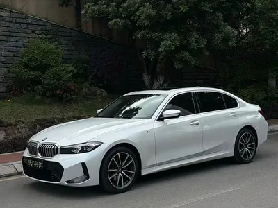 2024 BMW 3 Series 320Li M Sport Package, фото 1, лот 11018069