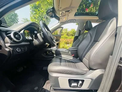 2020 WEY VV7 2.0T Luxury, фото 3, лот 10391116
