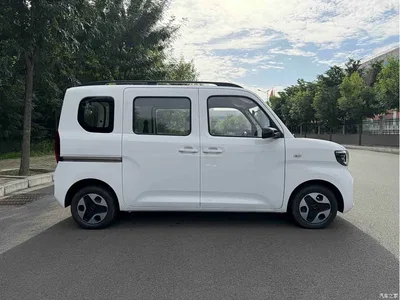 2025 Wuling Motors Wuling Zhiguang NEV Model 305km Base Version, фото 3, лот 10836411