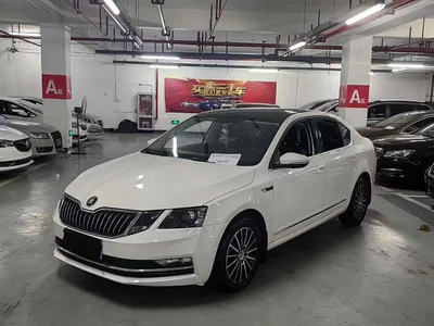2019 Škoda Octavia 1.5L Automatic Smart Comfort China VI, фото 1, лот 11140452