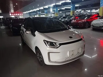 2021 Sehol Flower Fairy 302km Luxury Edition 31.4kWh, фото 4, лот 11153450