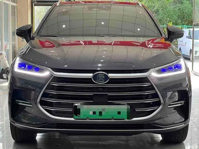 2021 BYD Tang New Energy DM-i 112KM Premium, фото 2, лот 10274075