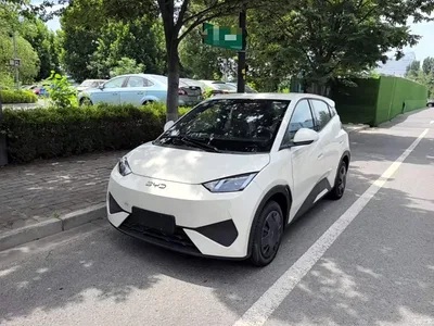 2025 BYD Seagull Smart Drive Edition 305km Vitality Version, фото 1, лот 10262855