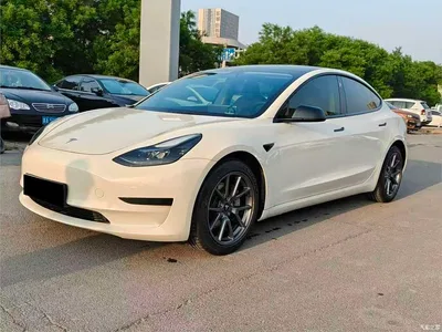 2021 Tesla Model 3 Standard Range Rear-Wheel Drive Upgrade, фото 1, лот 10362141