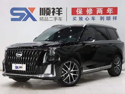 2022 GAC Trumpchi Trumpchi GS8 Hybrid Series 2.0TM 4WD Premium Edition (7-Seater), фото 1, лот 11139260