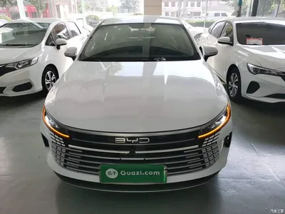 2024 BYD Destroyer 05 Glory Edition DM-i 55KM Luxury, фото 3, лот 10259012