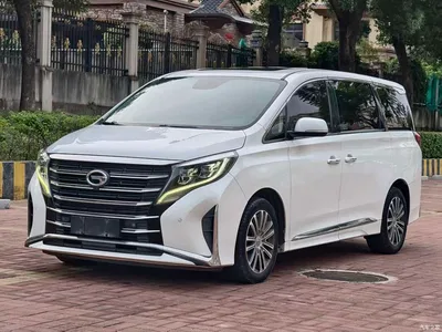 2021 GAC Trumpchi Trumpchi M8 Leading Show Series 390T Prestige Edition, фото 1, лот 11081798