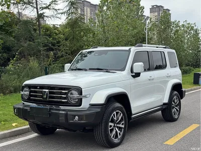 2023 Tank 300 Urban Edition 2.0T Very Stylish, фото 1, лот 10344411
