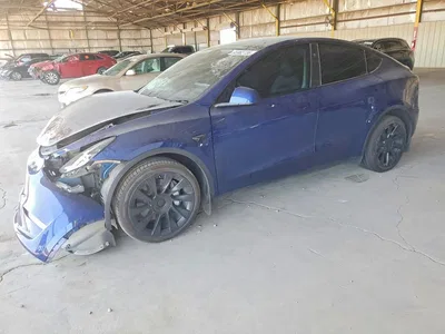 2023 TESLA MODEL Y, фото 1, лот 10854617