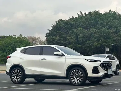 2021 Changan Oshan Changan Oushang X5 1.5T DCT Premium, фото 3, лот 11162726