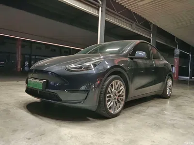 2024 Tesla Model Y Rear-Wheel Drive Version, фото 1, лот 10397621