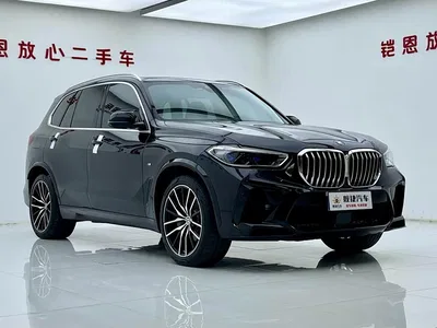 2020 BMW X5 (Import) xDrive40i M Sport Package, фото 3, лот 11567571