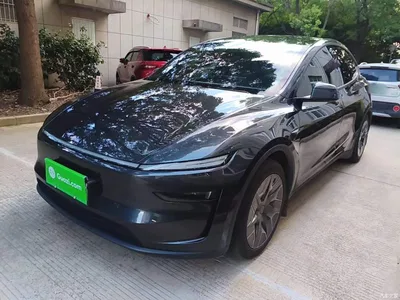 2025 Tesla Model Y L, фото 2, лот 10375183