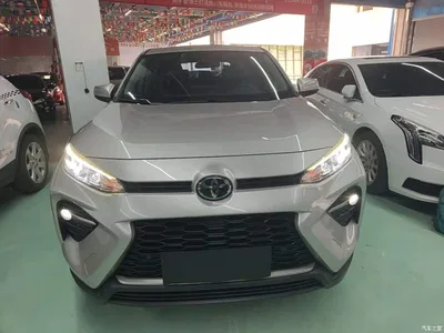 2020 Toyota Wildlander 2.0L CVT 2WD Luxury Edition, фото 3, лот 11227503
