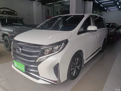 2021 GAC Trumpchi Trumpchi M8 Leading Show Series 390T Premium Edition, фото 2, лот 10422879