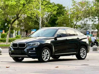 2015 BMW X6 xDrive35i Luxury Model, фото 1, лот 10469256