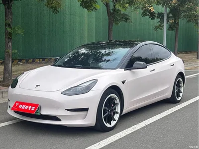 2021 Tesla Model 3 Standard Range Rear-Wheel Drive Upgrade, фото 1, лот 10352142