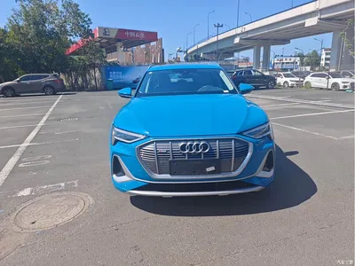 2021 Audi e-tron 50 quattro Exclusive Selection, фото 3, лот 10473704
