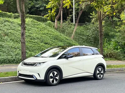 2024 BYD Dolphin Glory Edition 420km Fashion Edition, фото 1, лот 11247442
