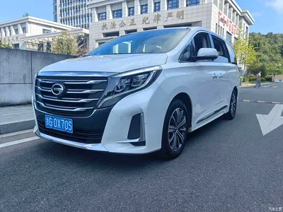 2020 GAC Trumpchi Trumpchi M8 Pilot 390T Ultimate Edition, фото 1, лот 10417271