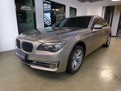 2009 BMW 7 Series 730Li Luxury, фото 1, лот 10458691
