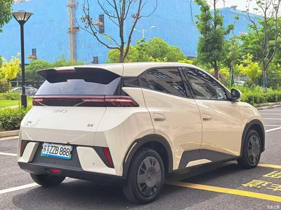 2025 BYD Seagull Smart Drive Edition 305km Vitality Version, фото 4, лот 10250393
