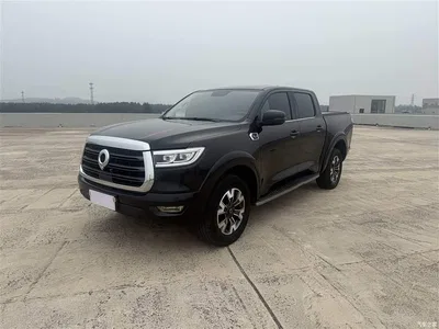 2019 Great Wall Pao 2.0T Automatic Gasoline 4WD Comfort GW4C20B, фото 1, лот 10246188