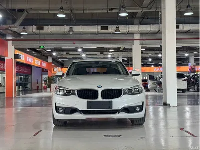 2019 BMW 3 Series GT 320i Fashion Model, фото 2, лот 10473325