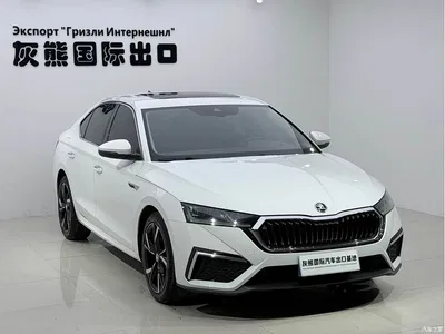 2022 Škoda Octavia PRO TSI280 Luxury Edition, фото 3, лот 10349030