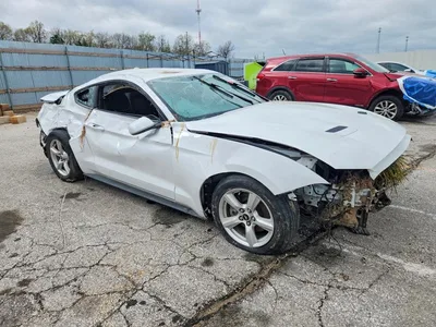 2019 FORD MUSTANG, фото 4, лот 10558733