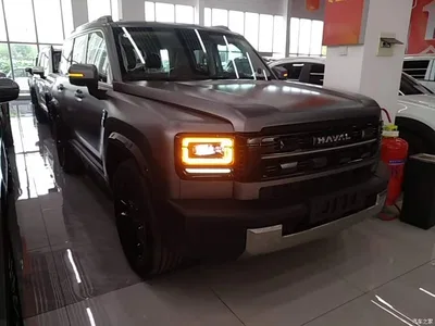 2025 Haval Meng Long NEV Model Base Version, фото 4, лот 11189471