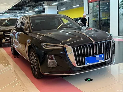 2023 Hongqi H5 2.0T Auto Smart Connect Flag Comfort, фото 3, лот 10288695