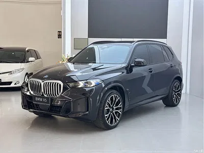 2023 BMW X5 xDrive 40Li M Sport Black Night Package, фото 1, лот 10462639