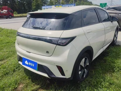 2023 BYD Dolphin 420km Freedom Edition, фото 3, лот 10396033