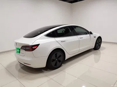 2020 Tesla Model 3 Standard Range Rear-Wheel Drive Upgrade, фото 4, лот 10349212