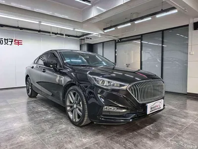 2019 Hongqi H5 30TD Smart Connect Rhythm Edition, фото 3, лот 10287442