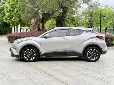 2020 Toyota IZOA 2.0L Yi Chi Edition, фото 4, лот 10275195