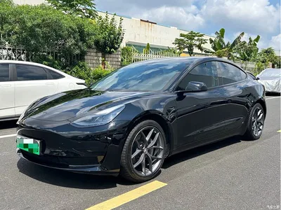 2021 Tesla Model 3 Standard Range Rear-Wheel Drive Upgrade, фото 1, лот 10334432