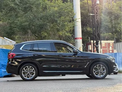 2020 BMW X3 xDrive28i Luxury Package, фото 4, лот 11188980
