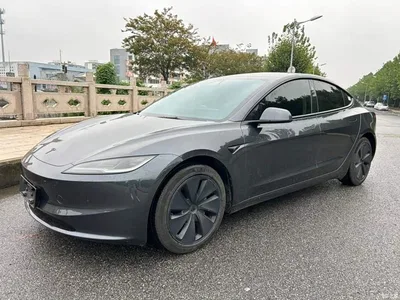 2023 Tesla Model 3 Rear-Wheel Drive, фото 1, лот 11242962
