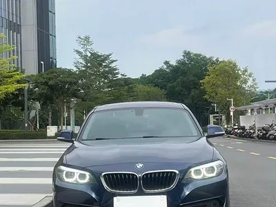 2018 BMW 2 Series (Import) 220i Sport Design Package, фото 2, лот 10632721