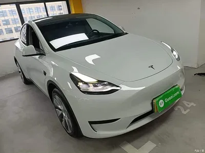 2022 Tesla Model Y Rear-Wheel Drive Version, фото 4, лот 11081244