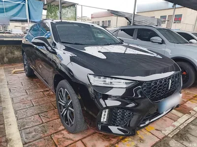 2017 WEY VV7 2.0T Flagship, фото 4, лот 11073629