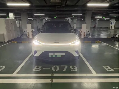 2024 smart Elf #1 Agile Long Range Edition, фото 2, лот 10587426