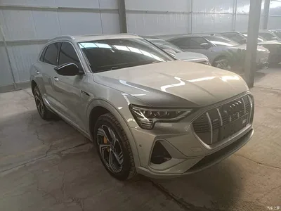 2021 Audi e-tron 50 quattro Exclusive Selection, фото 4, лот 11468524