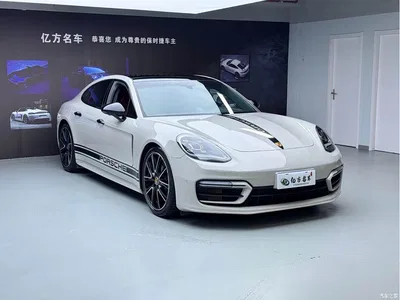 2023 Porsche Panamera Facelift Panamera 2.9T Platinum Edition, фото 3, лот 10394415