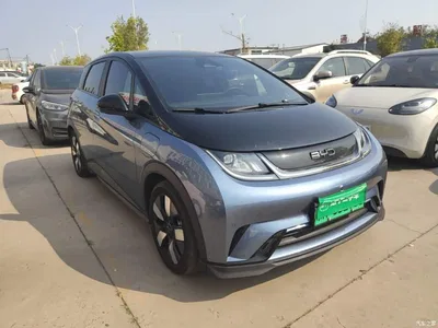 2025 BYD Dolphin 520km Knight Edition, фото 4, лот 11073716